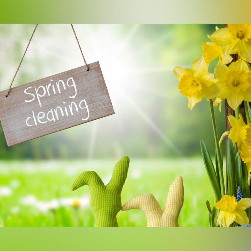 Spring Cleaning! Send me an offer!